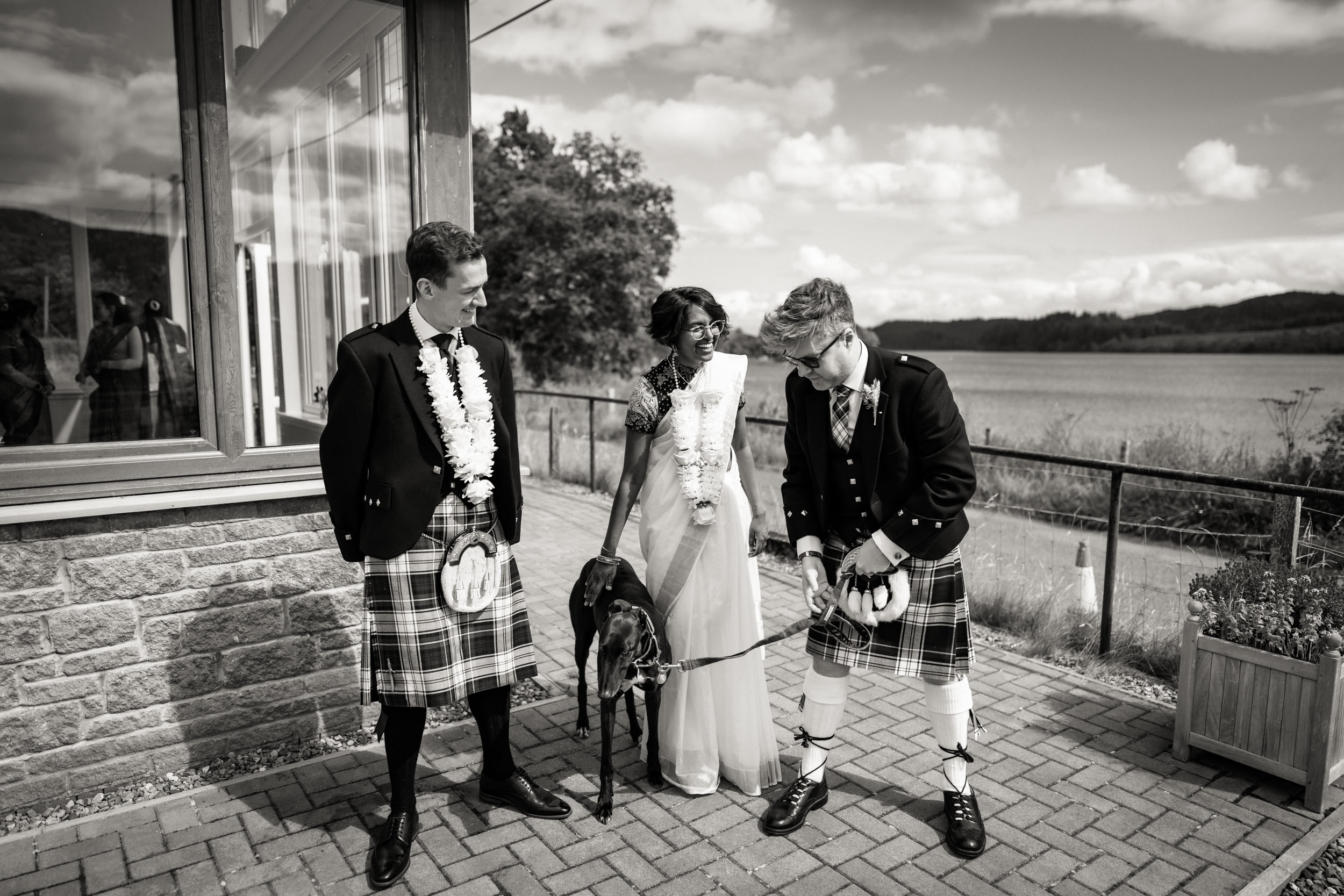 Wedding couple with greyhound